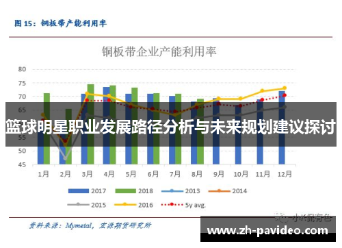 篮球明星职业发展路径分析与未来规划建议探讨