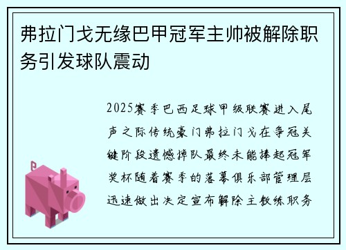 弗拉门戈无缘巴甲冠军主帅被解除职务引发球队震动